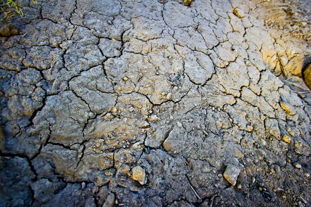Environment dried hot