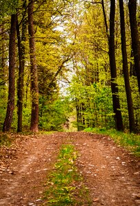 May landscape stroller photo