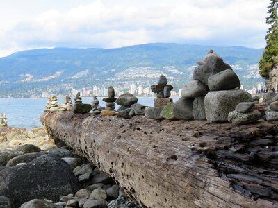 Vancouver stanley park nature photo