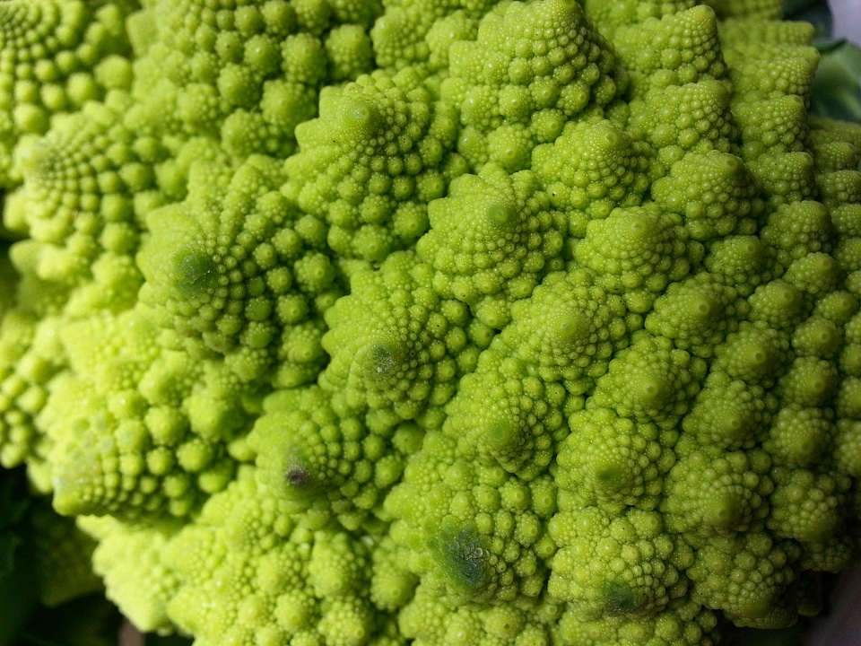 Light green broccoli eat