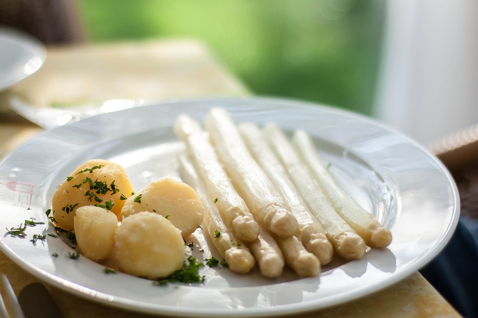 Meal vegetarian organic