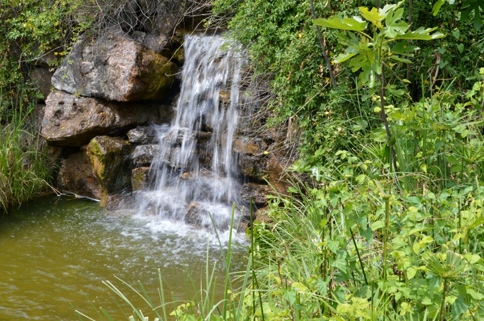 River lake nature