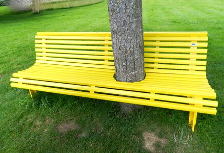 Contemporary trees garden