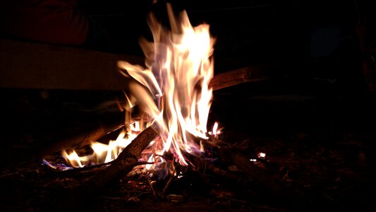 Dark night black wood