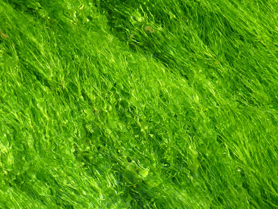 Structure light green water