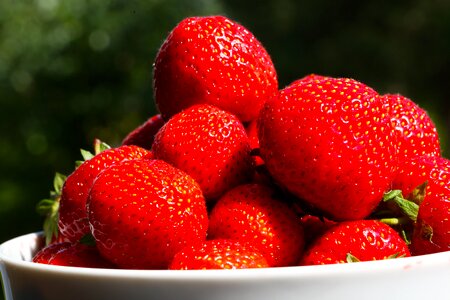 Red fetus garden