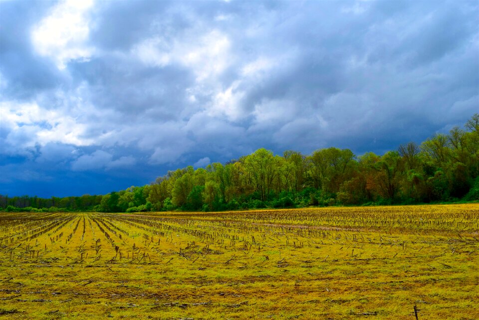 Agriculture nature field