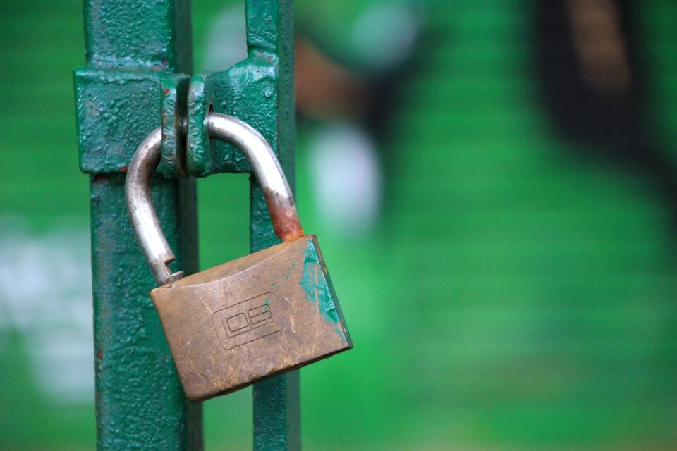 By wlodek green gateway