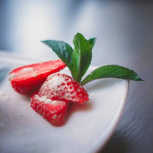 Food dish dessert