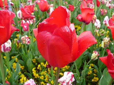 Luzern switzerland spring