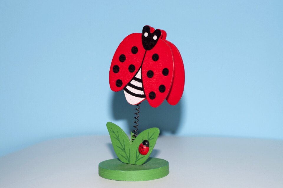 Ladybug frame lucky charm