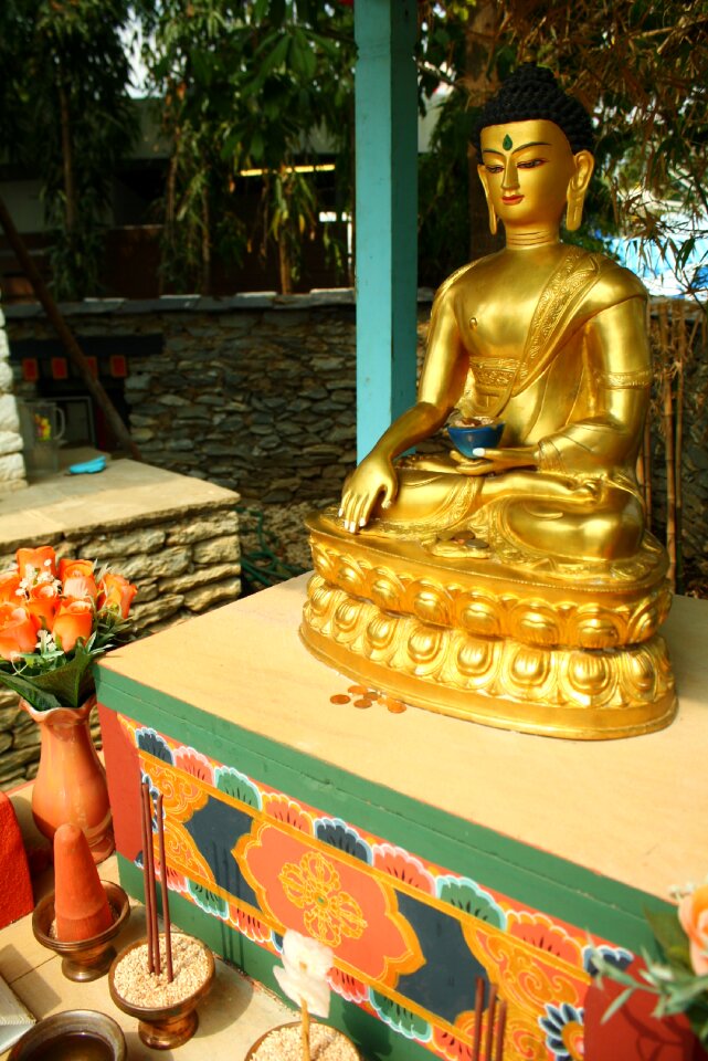 Chiang mai thailand garden