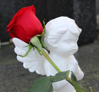 Stop teenager suicide stop student suicide stop youth suicide