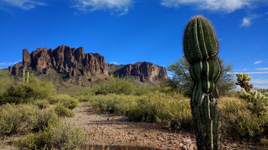 Desert arizona scenic photo
