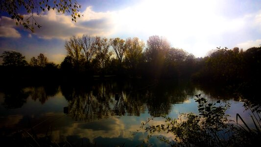 Trees water bank photo