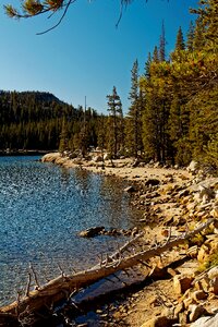 Usa yosemite national park america photo