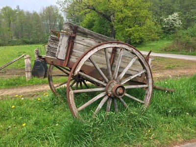 Antique team car age
