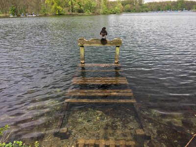 Lake pond water