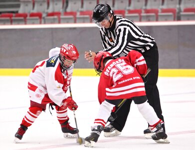 Slavia winter skater