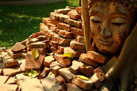 Chiang mai thailand garden photo