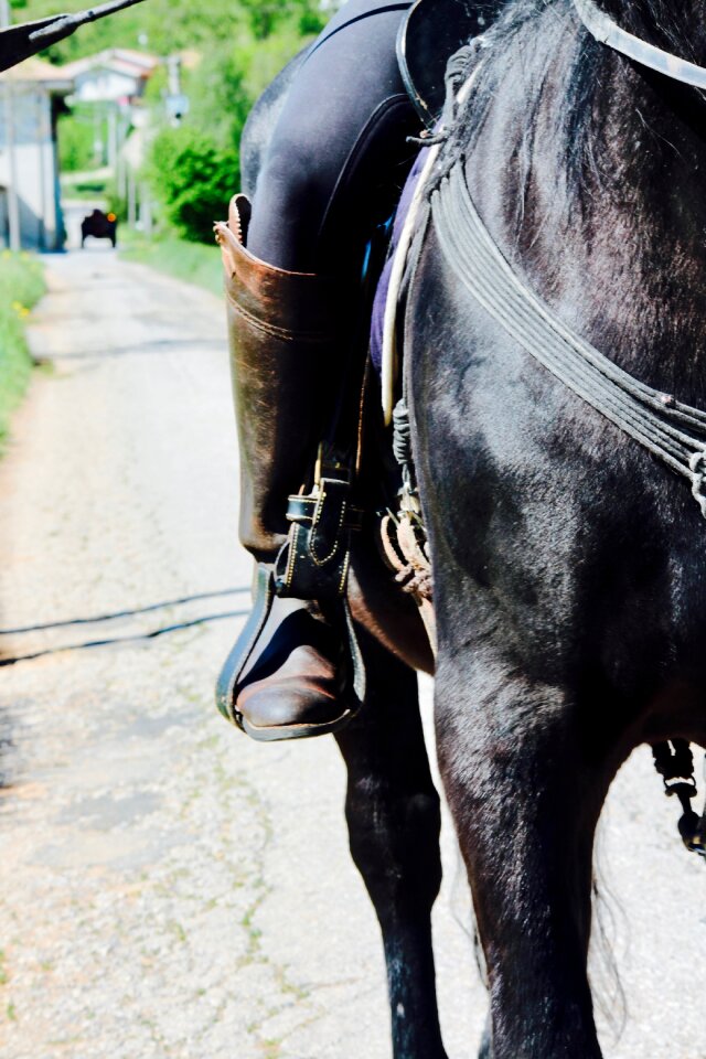 Riding school riding farm