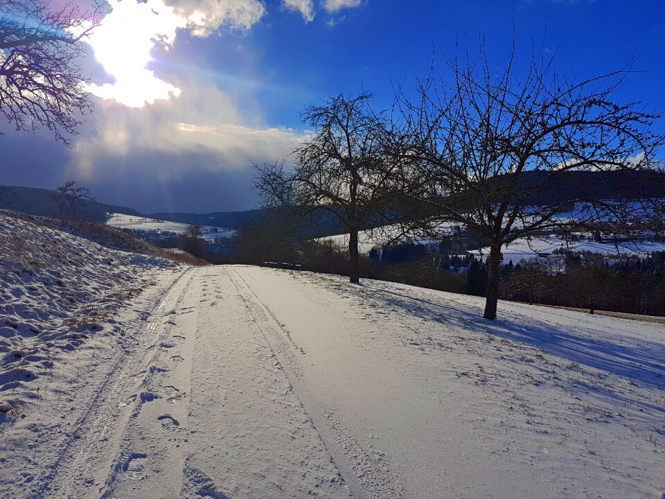 Landscape winter frost