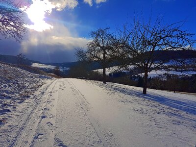 Landscape winter frost