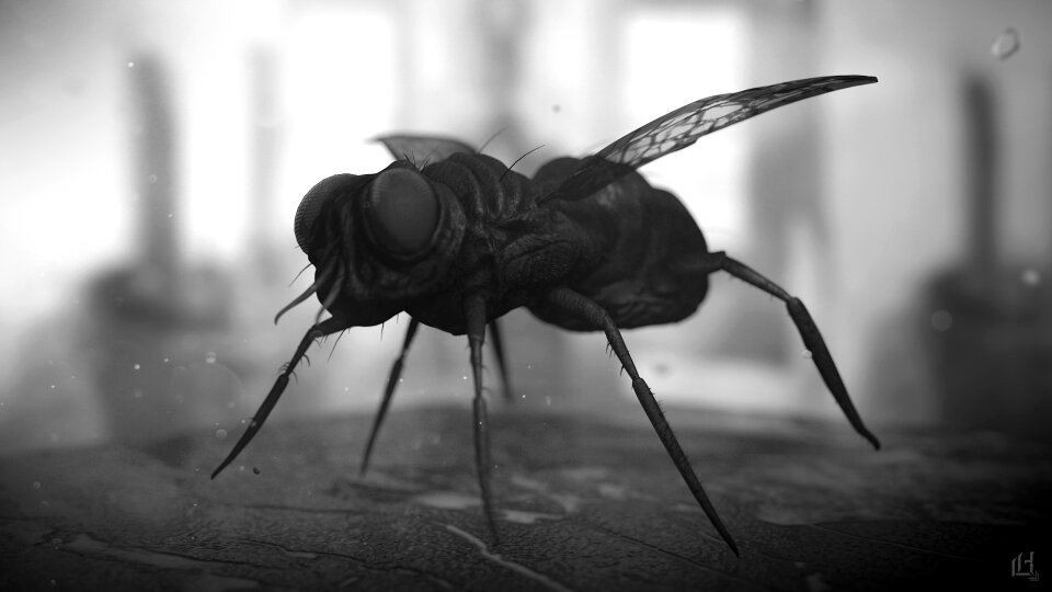 Insect macro rendering