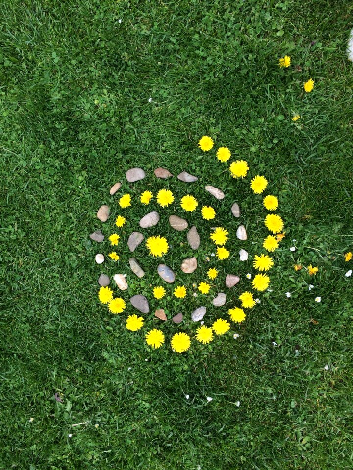 Children flowers stones