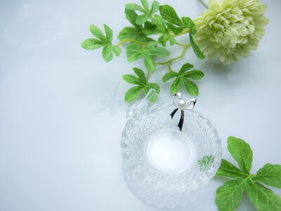 Freshwater pearl necklace accessories