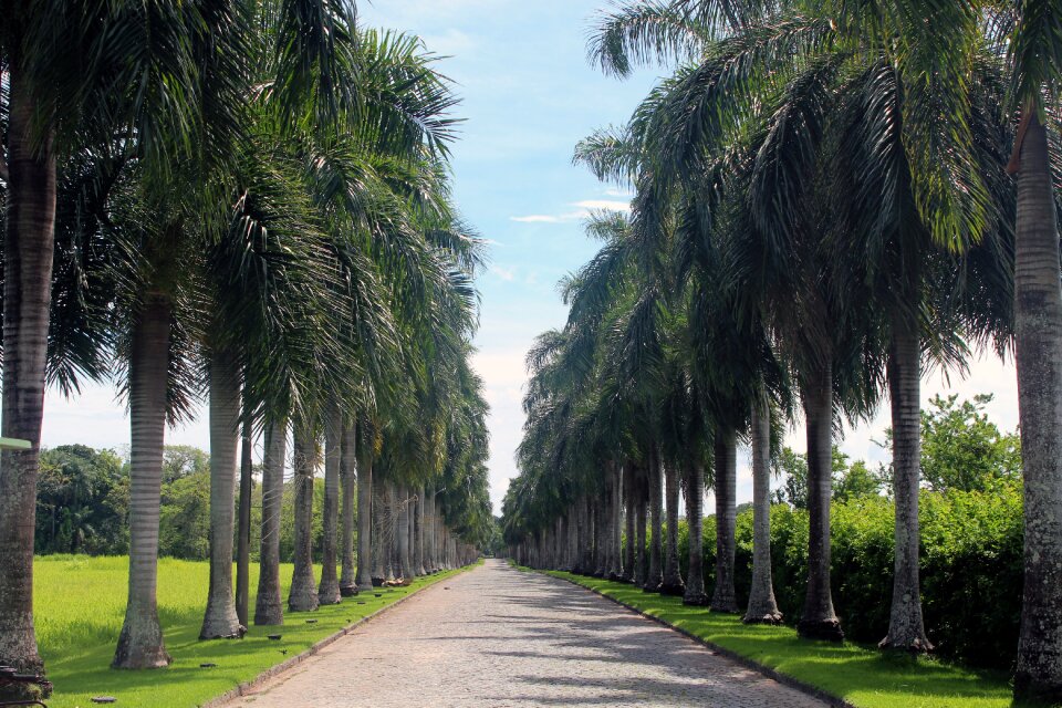 Imposing nature park