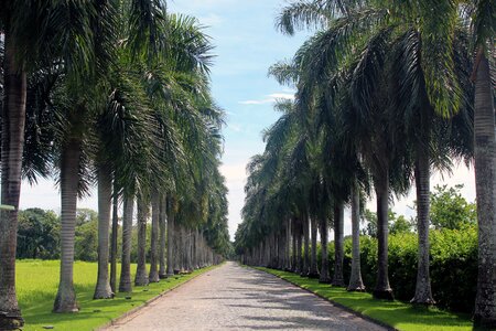 Imposing nature park photo