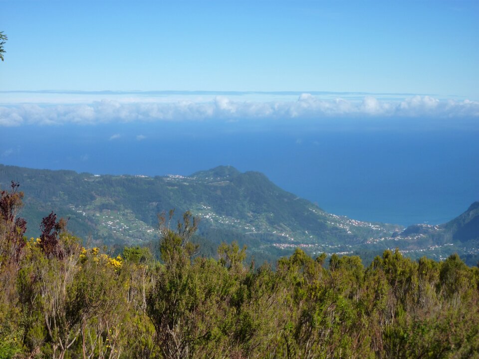 Madeira landscape ocean