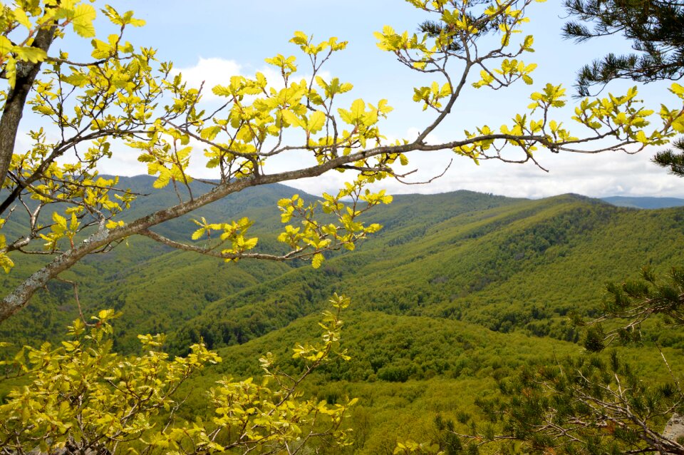 The caucasus krasnodarskiy kray seversky district