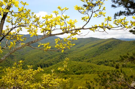 The caucasus krasnodarskiy kray seversky district