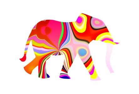 Cheerful happy elephant colorful photo