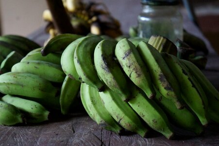 Fruit nature banana tree