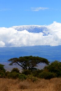 Nature mountains kilimanjaro