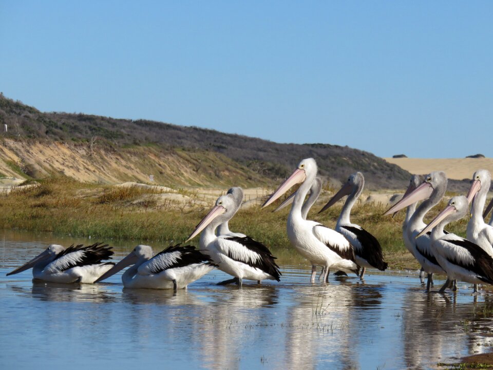 Australia downunder beach