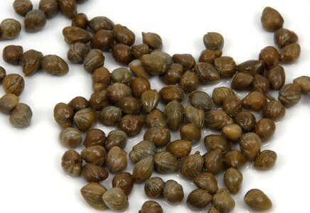Green in vinegar food