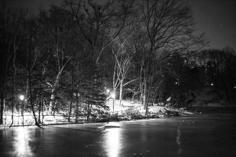 Black and white frozen winter