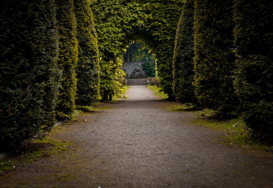 Park nature promenade
