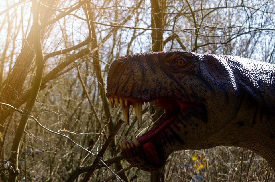Replica carnivores hagbard