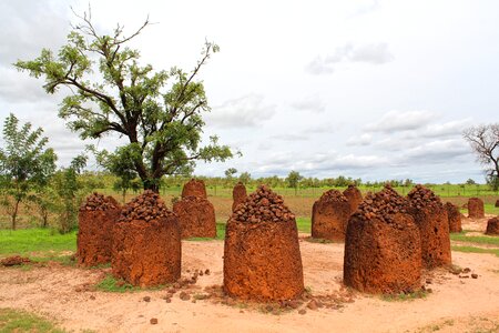 Gambia africa world heritage site