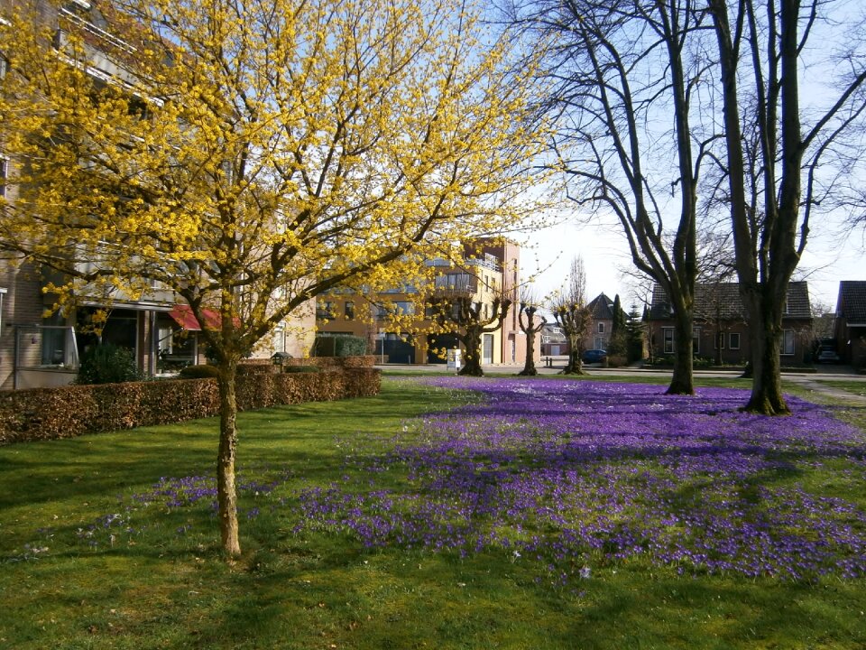 Nijverdal spring mill