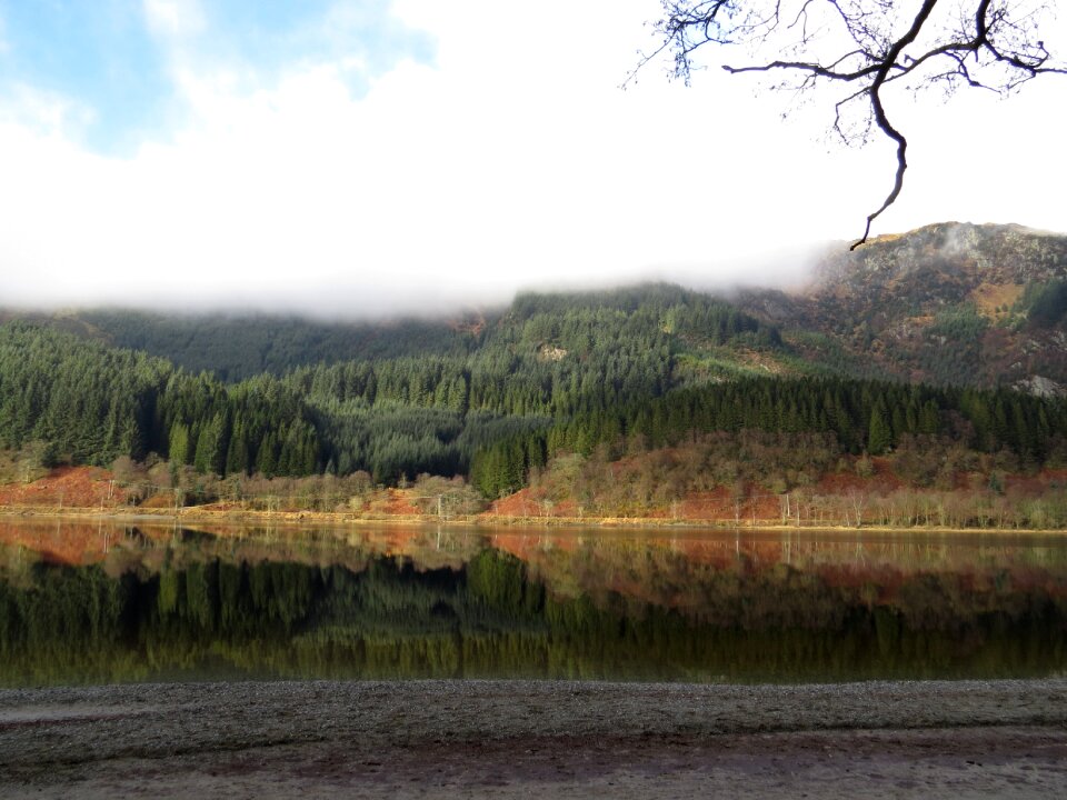 Trees cloud lake