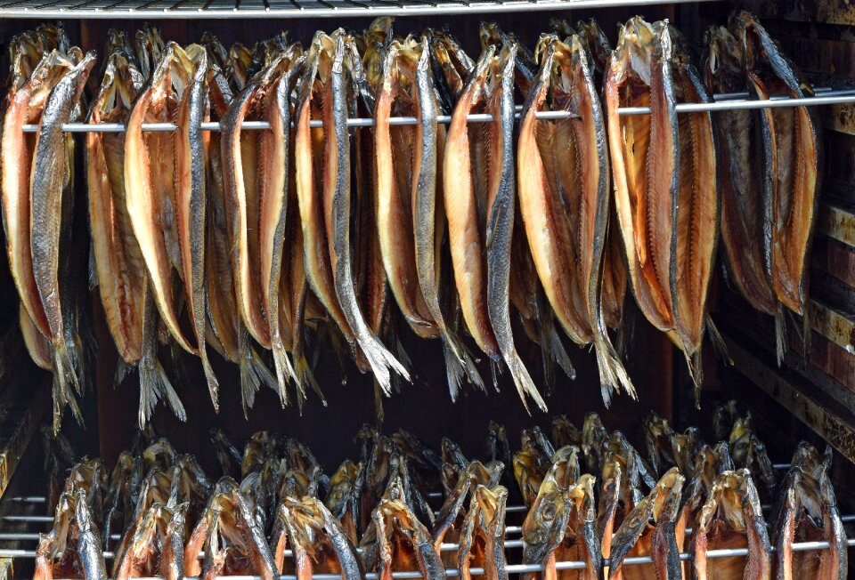Fish gourmet seafood