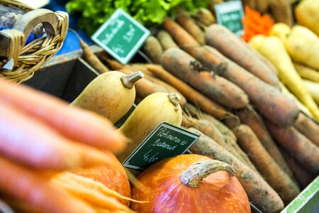 Pumpkin market vegetable garden