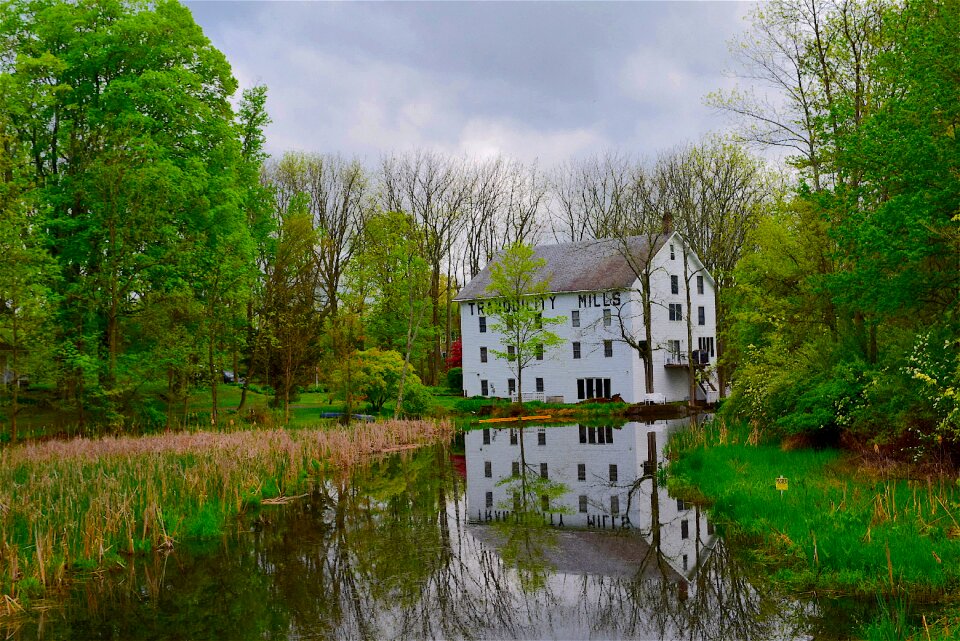Home building green