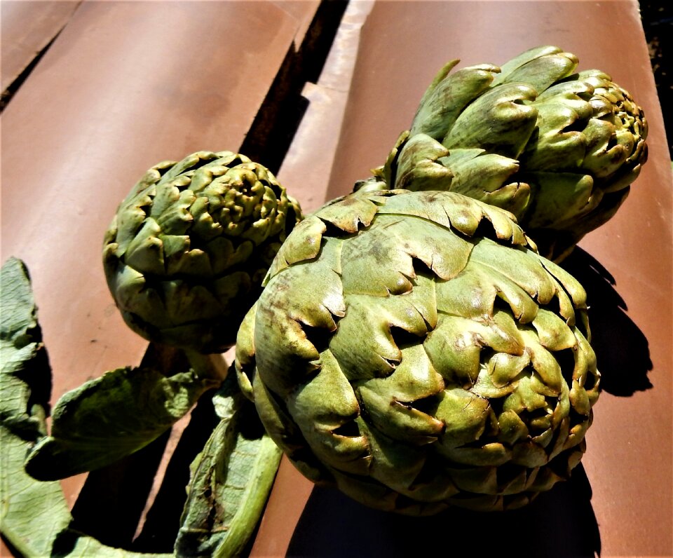 Artichoke vegetable healthy